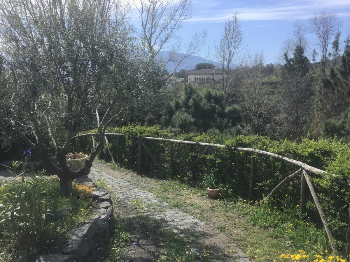 Tenuta Terradifuoco Terzigno Luaran gambar